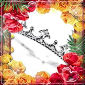 Meet your Posher, Kaya